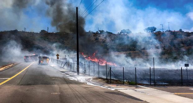 (Photo courtesy: OFD)