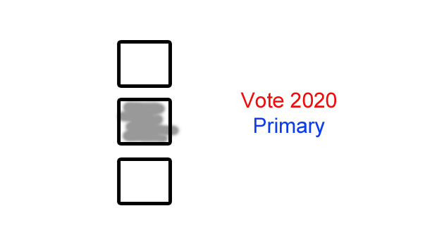 Primary+Election+2020+Results