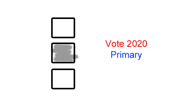 Primary Election 2020 Results