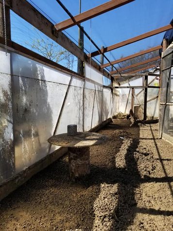 The water line from flooding can be seen in the Sunshine Gardens houseplant area on Saturday, April 11, in Encinitas. (Sunshine Gardens photo)