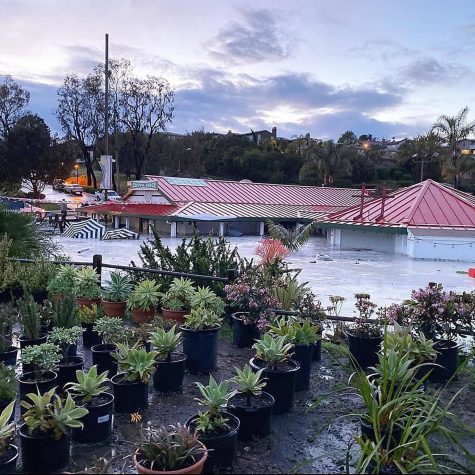 Cuppa Juice sits under water after flooding caused by heavy rain on Friday, April 10. The shop is located on the Encinitas property of Sunshine Gardens, which also suffered damage. (Cuppa Juice photo)