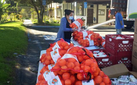 A volunteer stacks oranges for distribution to families Wednesday, April 15, as part of an effort by La Colonia de Eden Gardens in Solana Beach. The effort was put together to help families in need during the COVID-19 coronavirus crisis. (Courtesy photo)