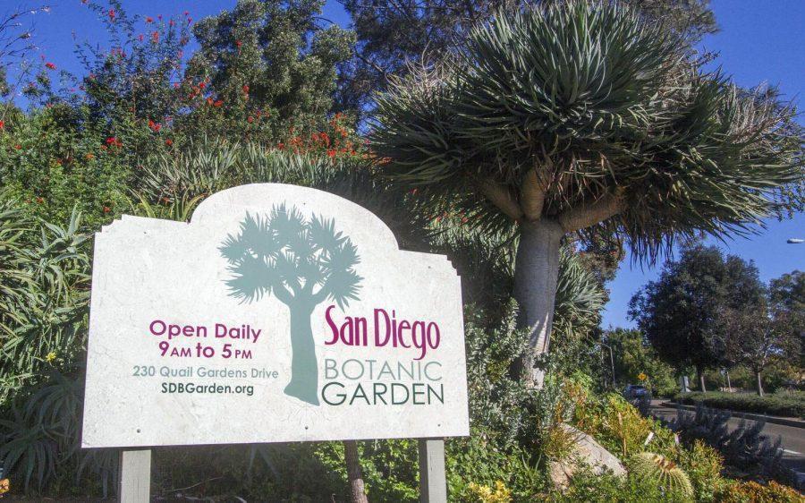 The San Diego Botanic Garden, located in Encinitas, has announced a phased reopening plan in the midst of the COVID-19 coronavirus pandemic. (Photo by Rachel Cobb, San Diego Botanic Garden)