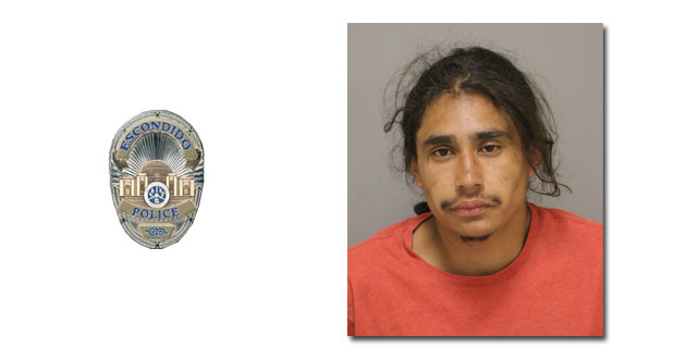 Suspect Takes Full Advantage of California Judicial Council COVID-19 Catch and Release Program-Embarks on Lengthy Crime Spree