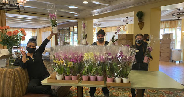 (Photo courtesy: Westerlay Orchids)