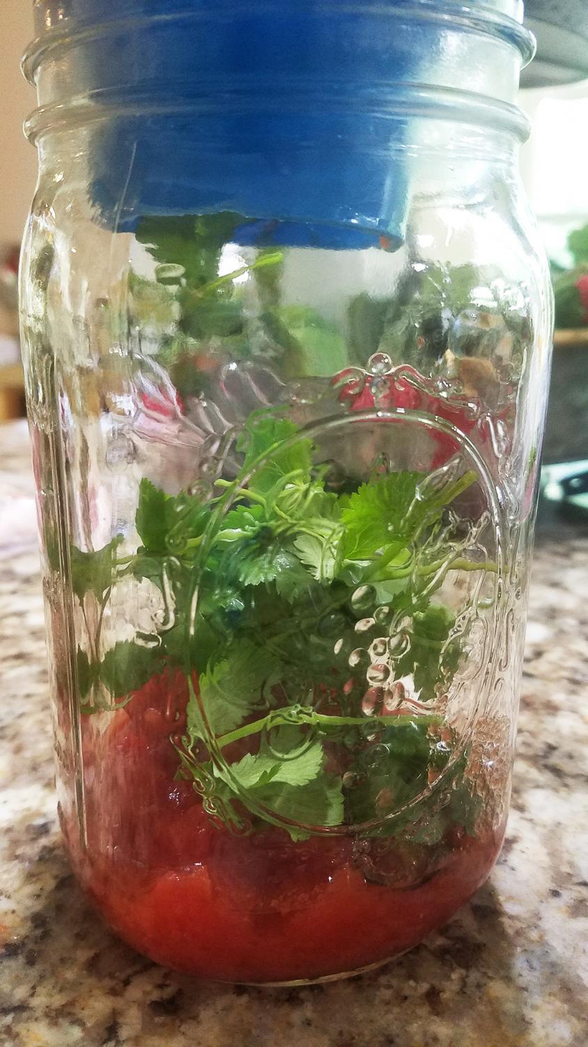 Preserved Home: The meat of the matter — canning is an economical, tasty option