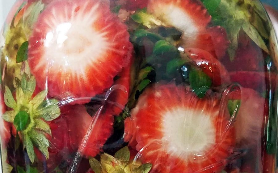 Strawberry scraps can be used to make fermented vinegar. (Photo by Laura Woolfrey Macklem)