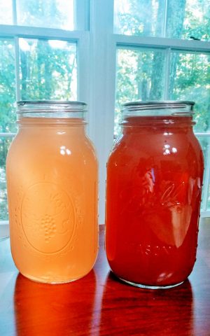 Use softer apples to make juice and cider canned for your shelf. (Photo by Laura Woolfrey Macklem)