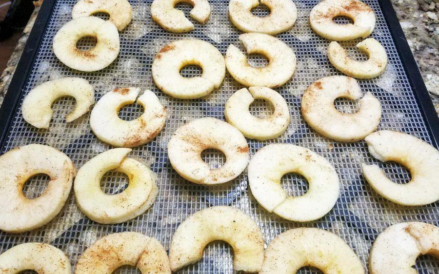 Dust dehydrated apple rings with your favorite fall spices. (Photo by Laura Woolfrey Macklem)