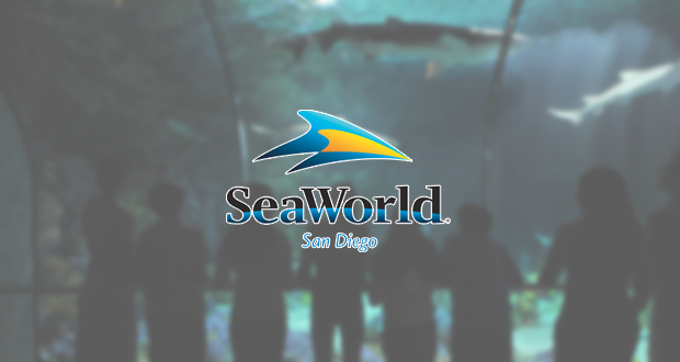 SeaWorld Offers FREE Admission for U.S. Military Veterans and Their Families