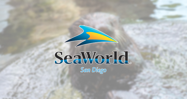 SeaWorld San Diegos Inside Look Event Provides Up-Close Opportunities for Guests to Learn More About Animal Care and Rescues