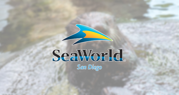 SeaWorld San Diego's Inside Look Event Provides Up-Close Opportunities for Guests to Learn More About Animal Care and Rescues