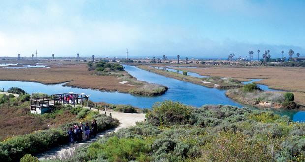 Carlsbad+watershed-San+Elijo+Lagoon+%28Photo+courtesy%3A+Project+Clean+Water%29