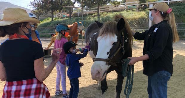 (Photo courtesy: Laughing Pony Rescue)