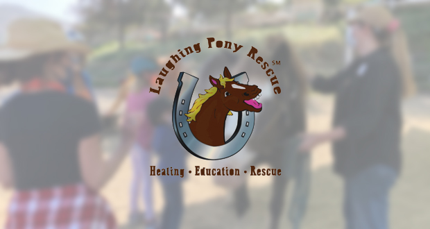 Summer and Day Camps at Laughing Pony Rescue