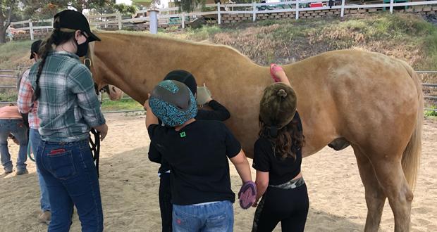 (Photo courtesy: Laughing Pony Rescue)