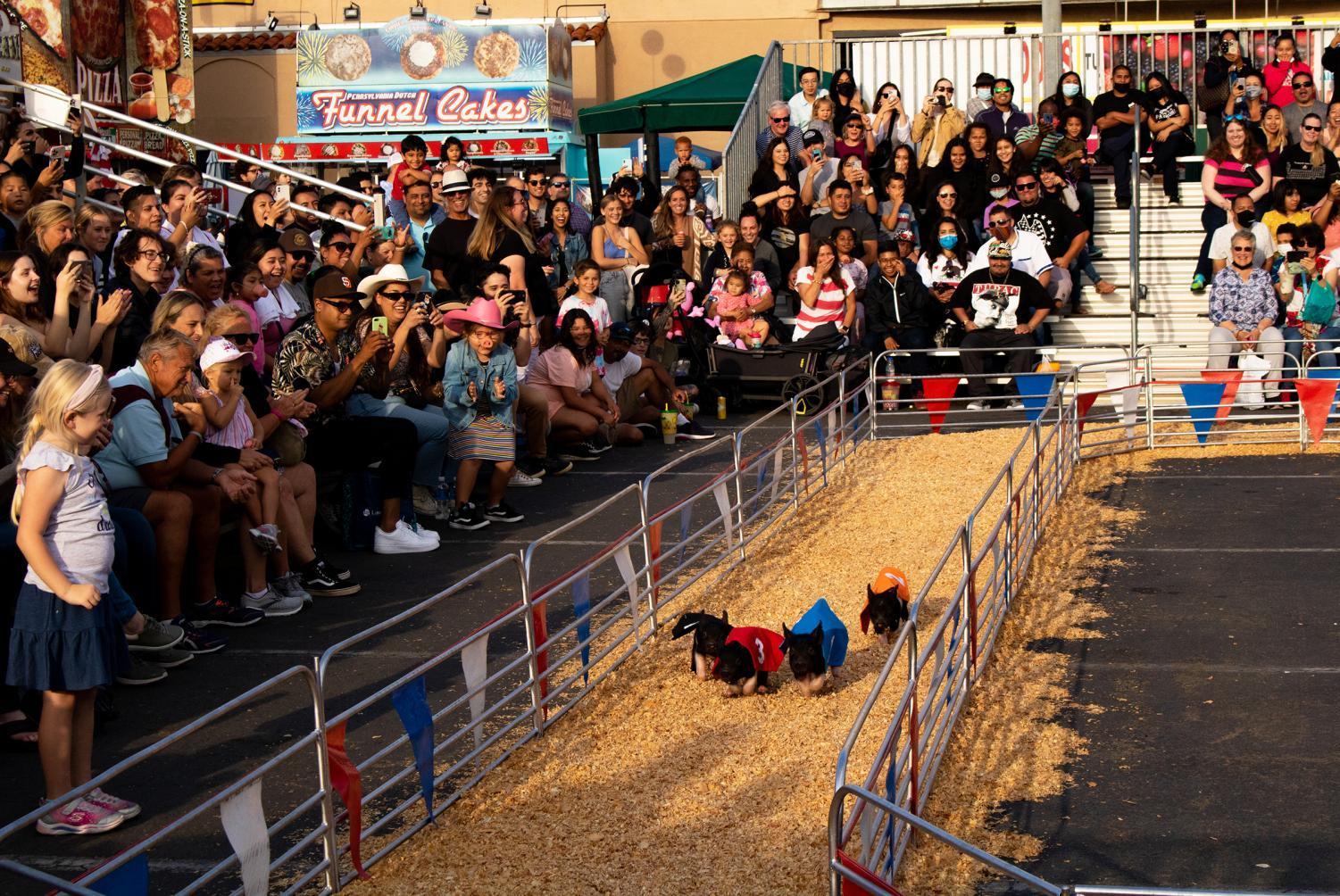 Visitors savor return of San Diego County Fair after pandemic lockdown
