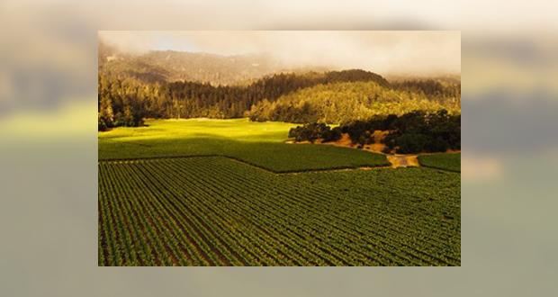 Take a Virtual Trip to Napa Valley with Freemark Abbey Winery and Winemaker Emeritus Ted Edwards