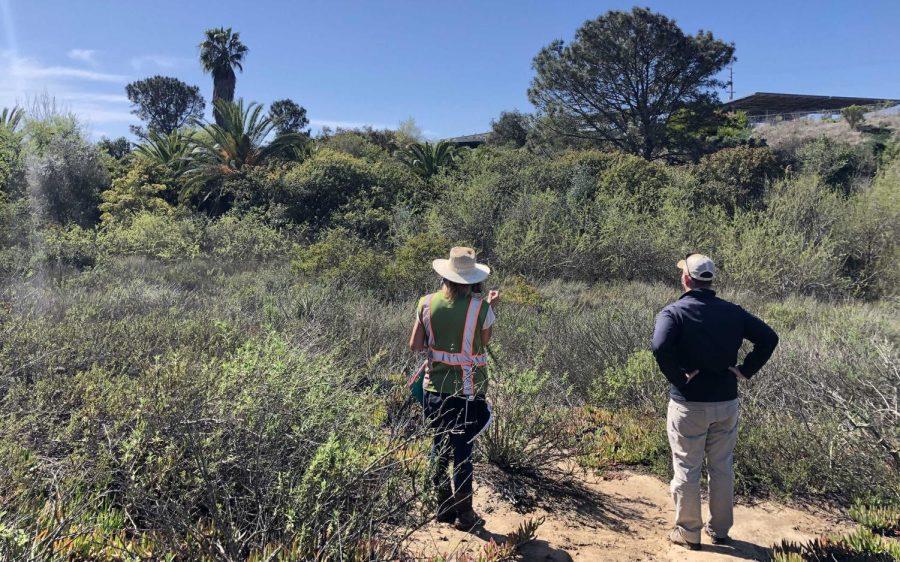 San Diego Botanic Garden representatives look over Ocean Knoll Canyon, located below Ocean Knoll Elementary School in Encinitas, earlier this year. (San Diego Botanic Garden photo)