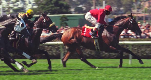 How Sports Betting Regulations Affect Bettors In San Diego