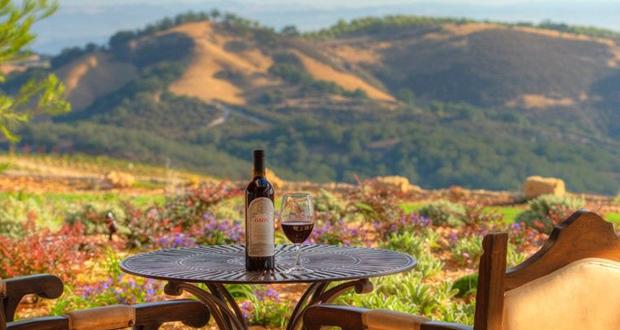 (Photo courtesy: DAOU Winery)