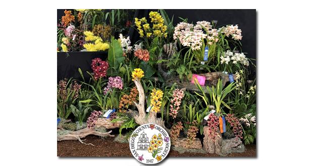 San Diego County Orchid Society International Spring Show and Sale is Magical