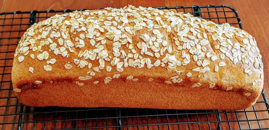 A loaf of freshly home-baked kamut sandwich bread. (Photo by Laura Woolfrey Macklem)