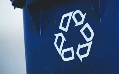 Recycling. (Photo by Sigmund via Unsplash)