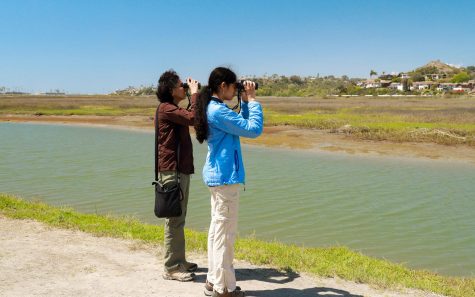 Visitors observe wildlife in April at the restored San Elijo Lagoon Ecological Reserve, located between Encinitas and Solana Beach. (Nature Collective photo)