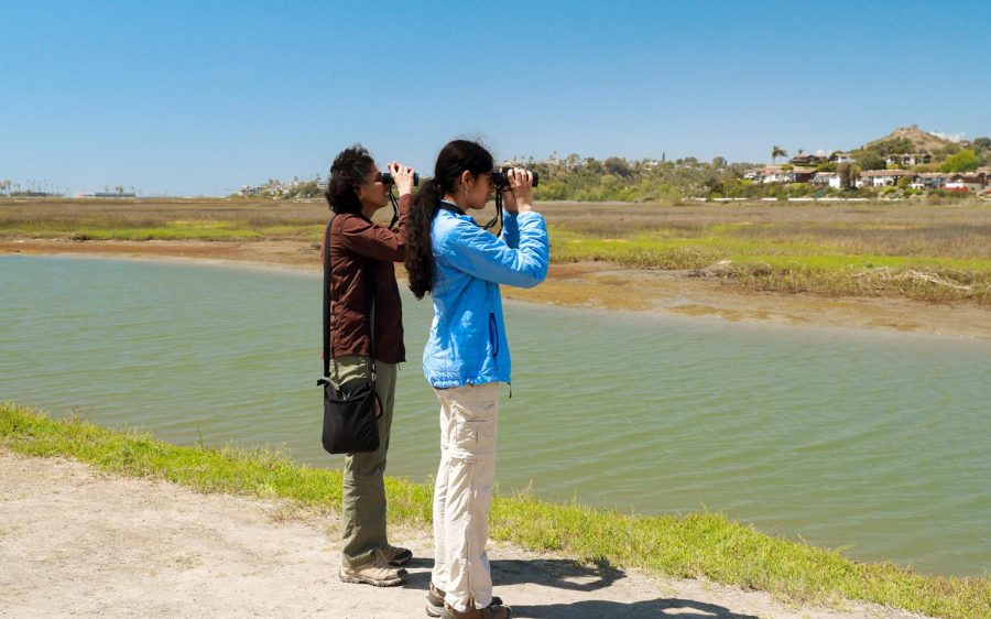 Visitors observe wildlife in April at the restored San Elijo Lagoon Ecological Reserve, located between Encinitas and Solana Beach. (Nature Conservancy photo)