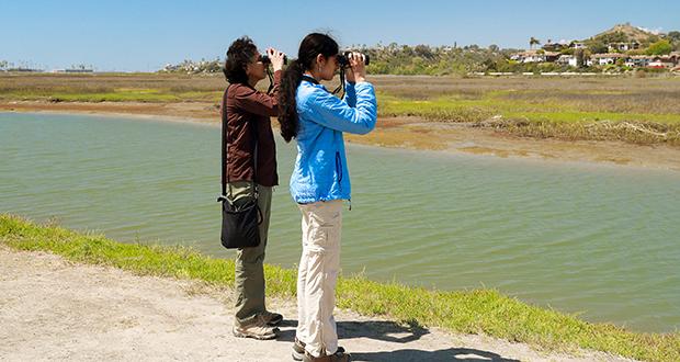 Visitors observe wildlife in April at the restored San Elijo Lagoon Ecological Reserve, located between Encinitas and Solana Beach. (Nature Collective photo)