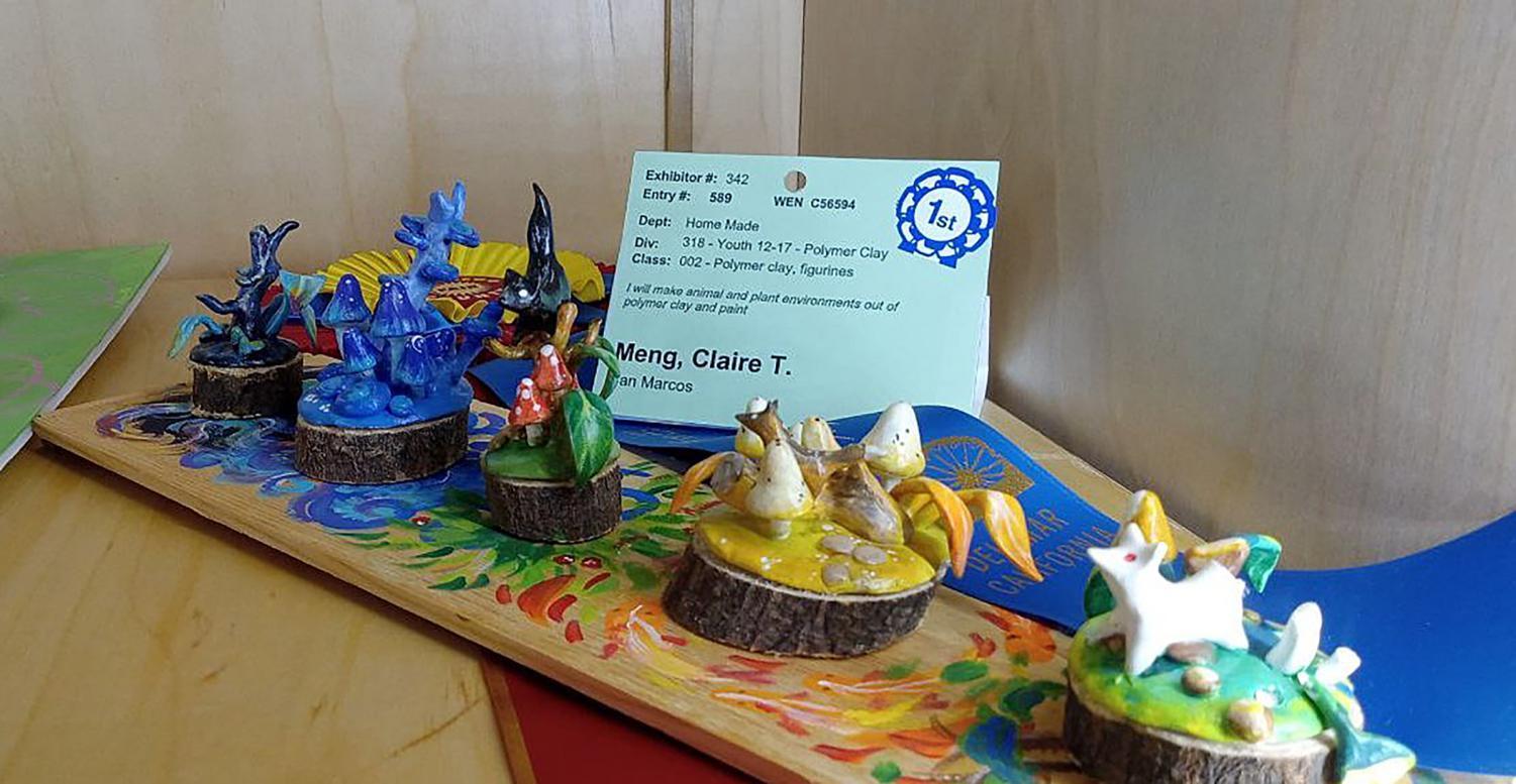 Labors of love shine in San Diego County Fair contests