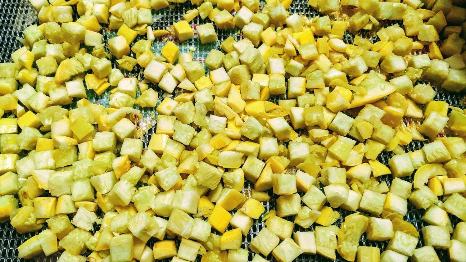 Preserved Home: Squash is a summer staple full of potential