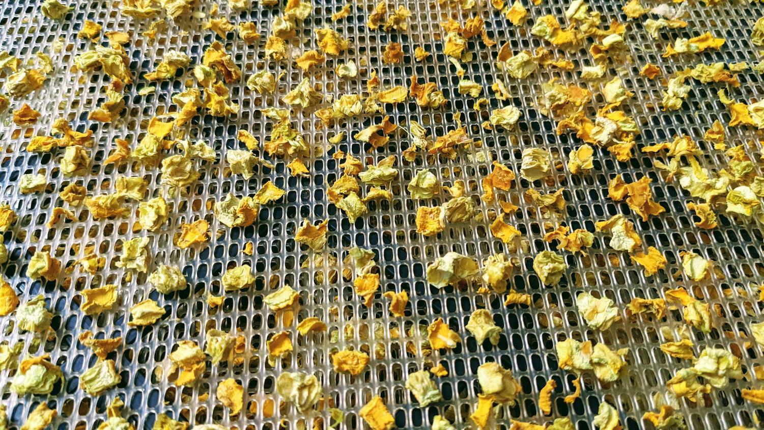 Preserved Home: Squash is a summer staple full of potential