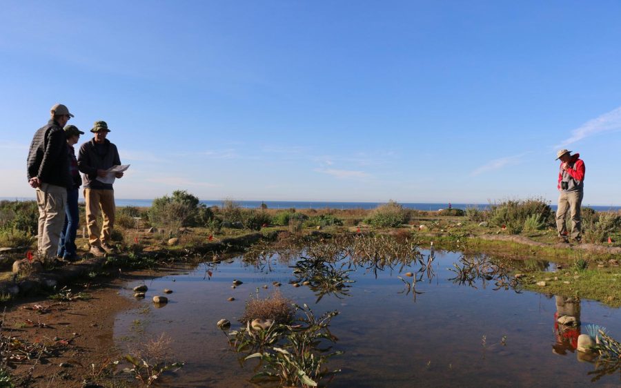 U.S. Fish and Wildlife Service staff members visit a vernal pool on Camp Pendleton on Jan. 30, 2017. (U.S. Fish and Wildlife Service photo)