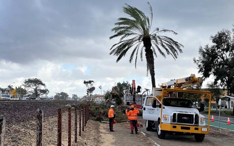 Crews prepare to clean up the remnants of a eucalyptus tree that fell at the railroad tracks March 1 in Leucadia during high winds and stormy weather. (North Coast Current photo)