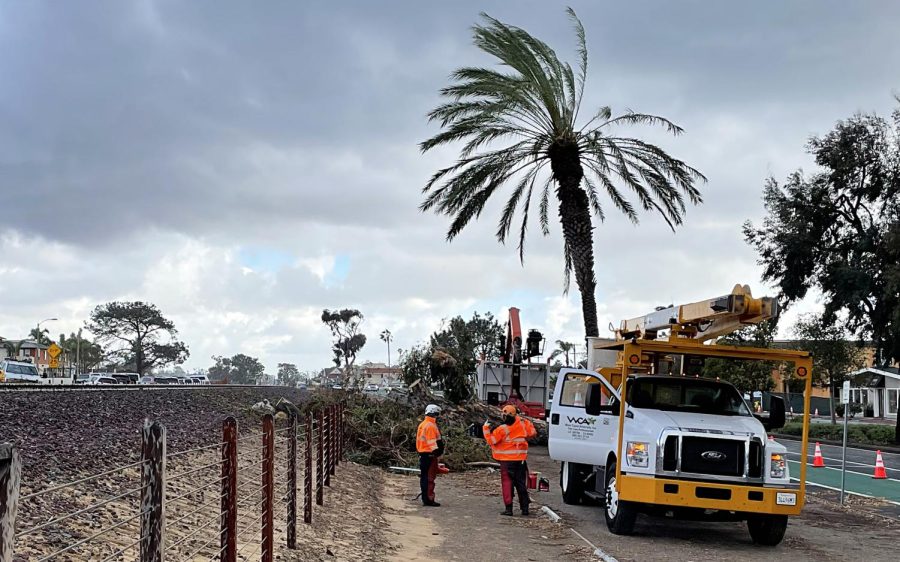 Crews prepare to clean up the remnants of a eucalyptus tree that fell at the railroad tracks March 1 in Leucadia during high winds and stormy weather. (North Coast Current photo)
