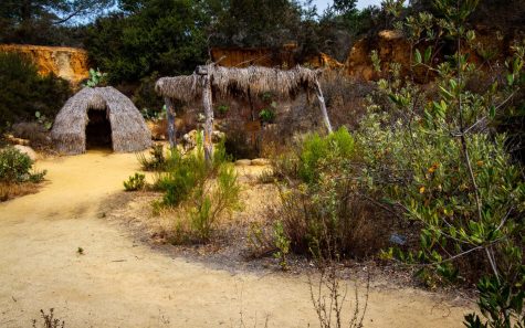 The Native Plants and Native People Trail at San Diego Botanic Garden is a place to see the value and beauty of local species. (San Diego Botanic Garden photo)