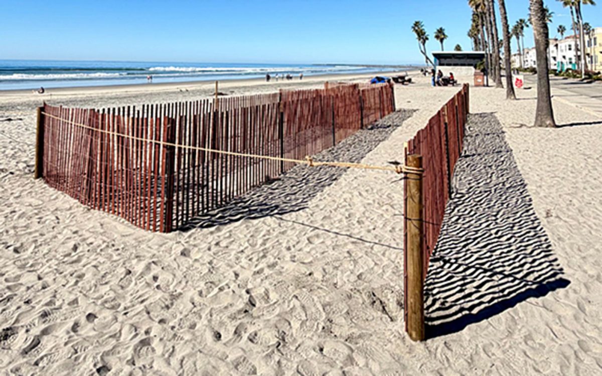The city of Oceanside is installing dune structures along some coastline areas as part of a pilot program. (Oceanside city photo)