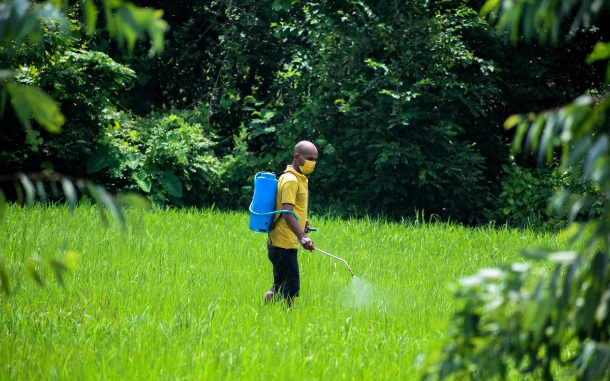 Pesticide use. (Photo by Prakash Aryal via Pexels)