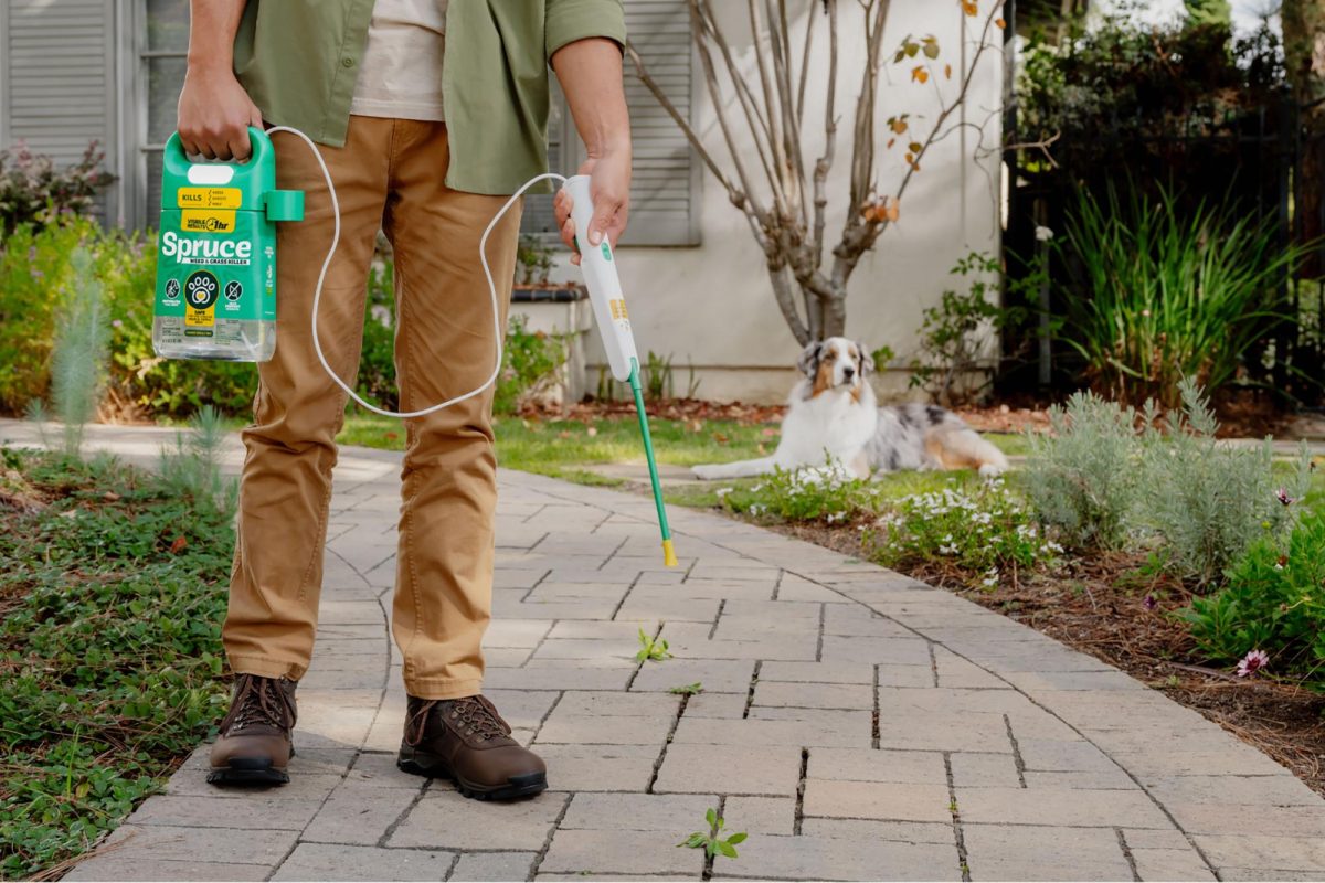 Yard care. (Spruce Weed & Grass Killer photo)